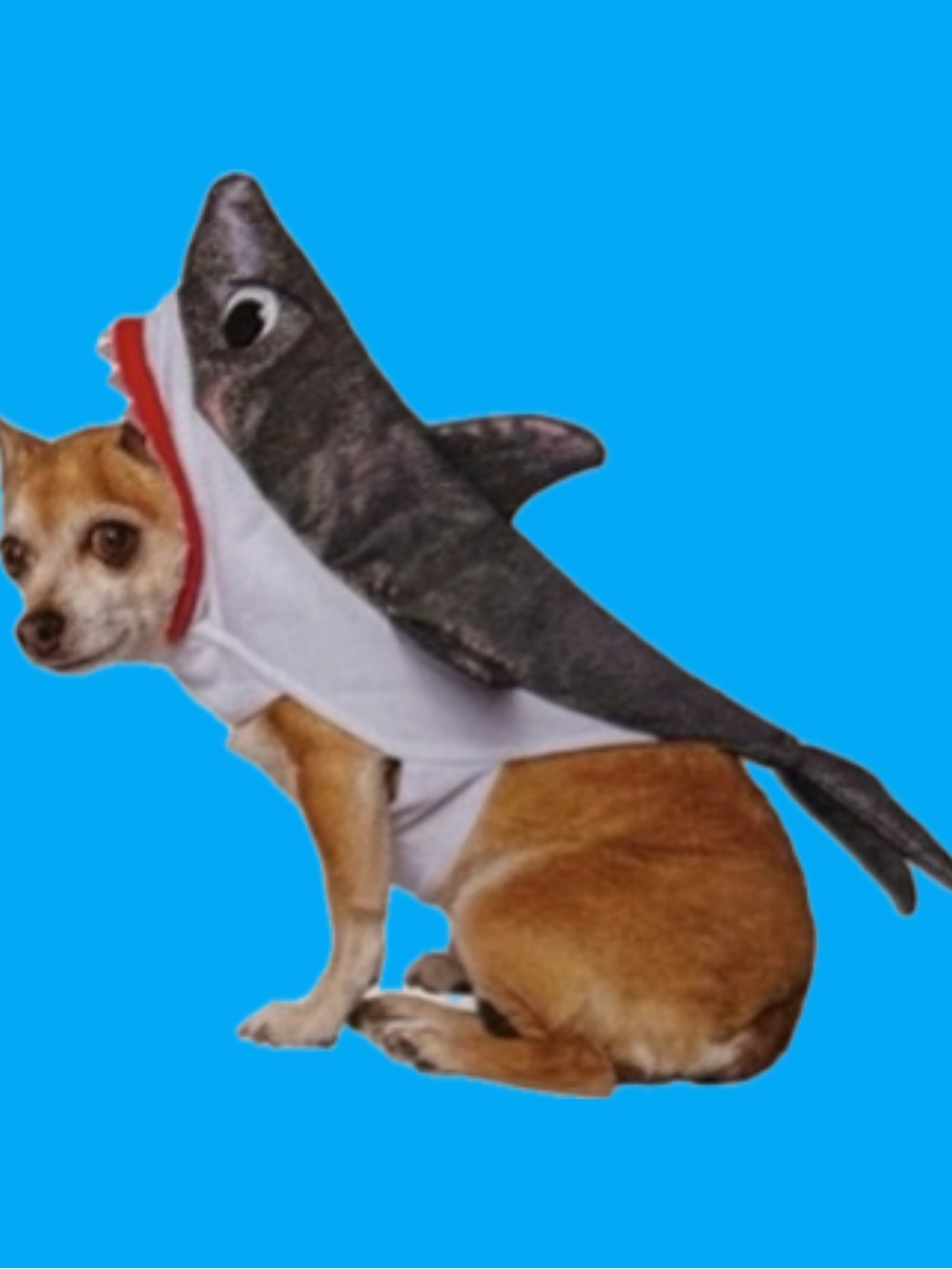 Way to Celebrate Halloween Shark Dog Costume XS Holographic NWT